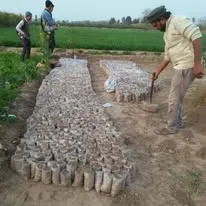 Green Seekers Activity